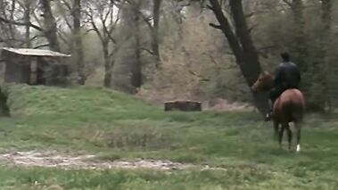 Orgasmes sur le Danube (Orgasmi sul Danubio). Sc.4