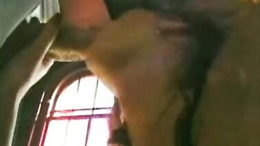 Silvia Saint Et Les Vicieuses Minettes. Sc.1