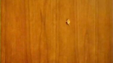 Private Stories 07. Up And Down. Sc.2