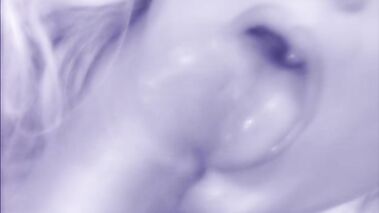 Private Penthouse 12: Without Limits 2